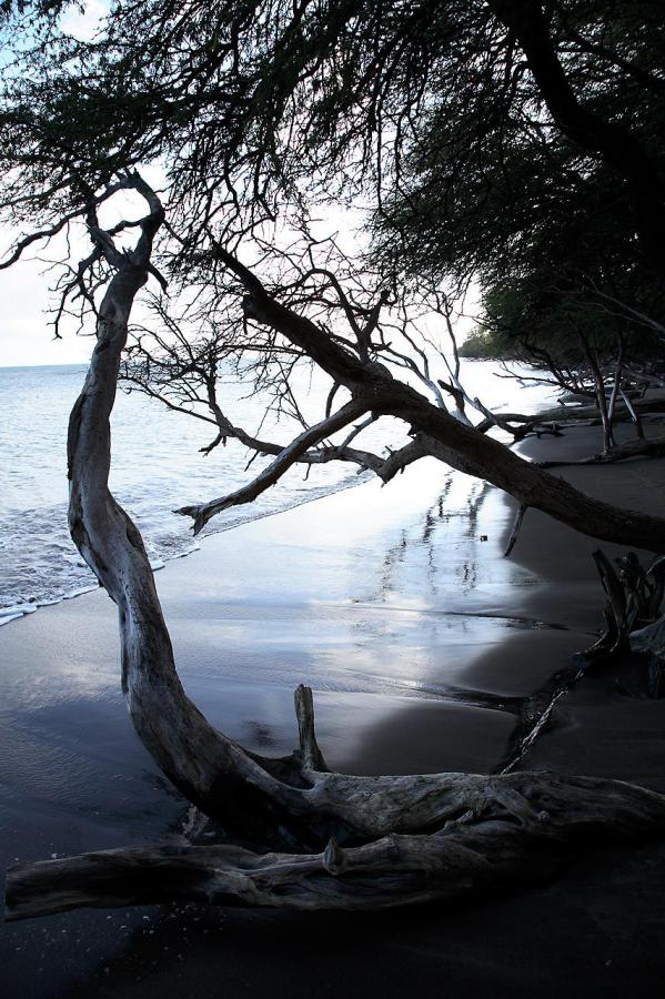 99爱视频在线观看免费播放-久久不精品-Ultra HD高清在线观看