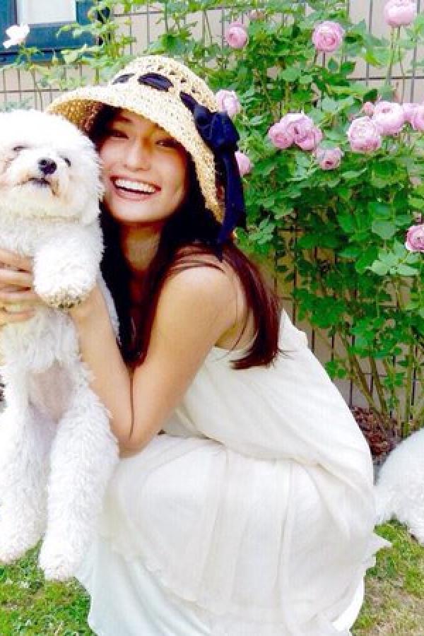 欧美在线一二三区-午夜在线视频-全高清日韩在线观看