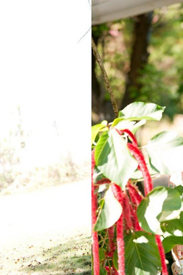 av黄色三级黄片-SD免费观看完整版下载