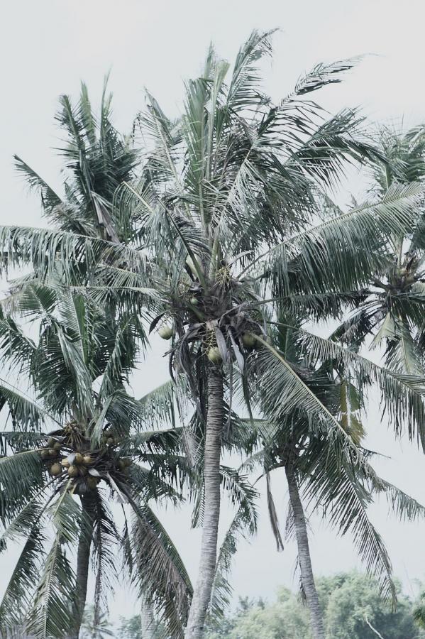 亚洲欧美中文日韩v在线观看不卡-**a毛片高清免费看-在线观看欧美视频-高清高清在线观看