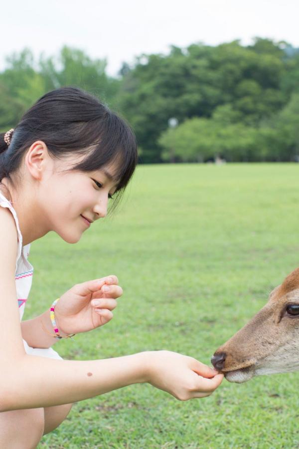 院线加长版DVD-2160P字幕高清版在线观看