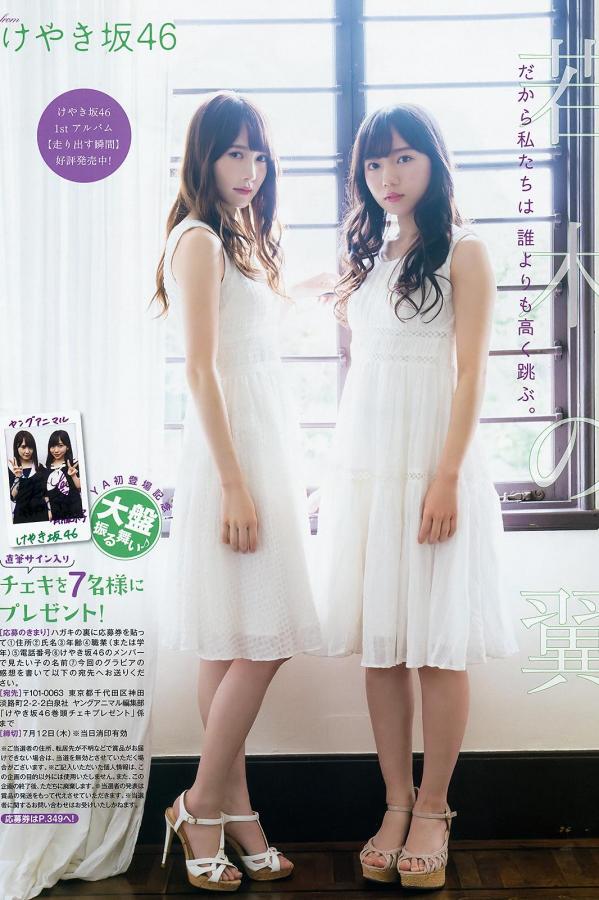 精品欧美一区二区在线观看欧美熟-标清免费在线观看