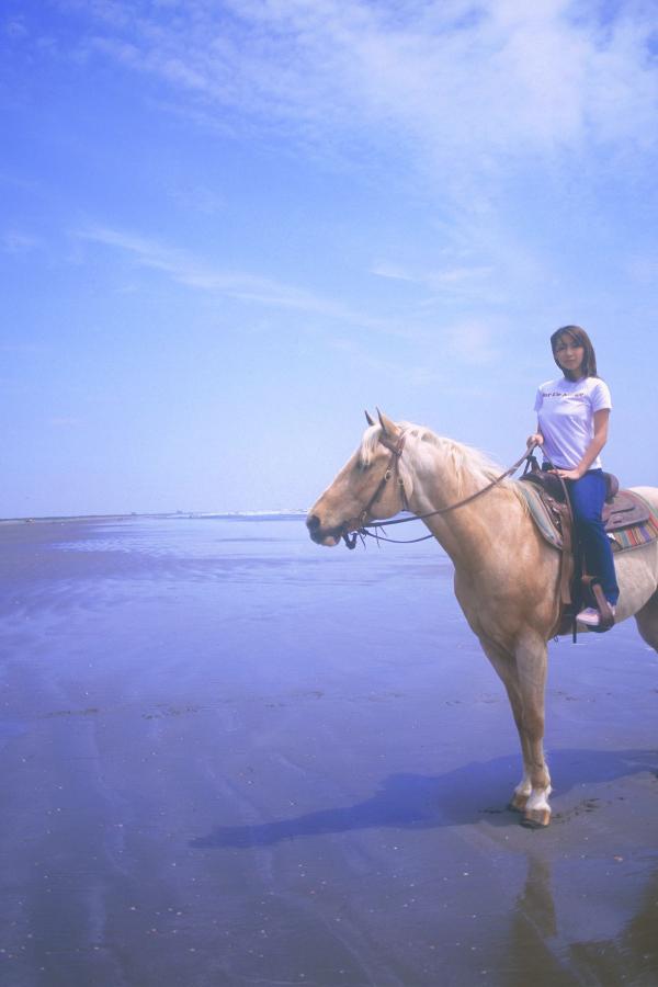 99国产欧美精品久久久蜜芽-久久综合综合久久-人妻av中文字幕一区二区三区-HD高清在线观看