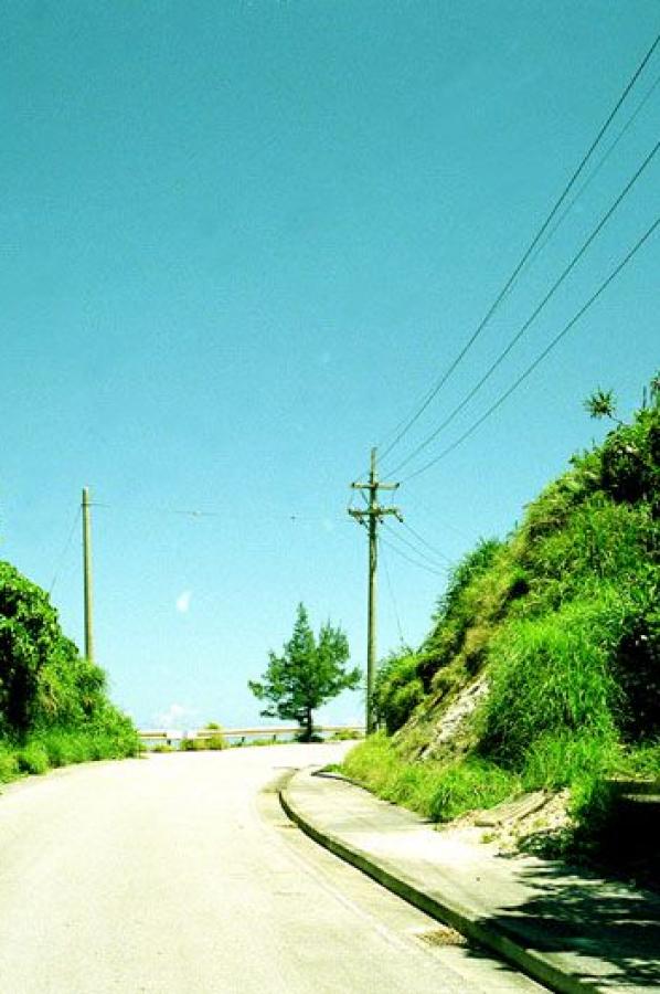 《下厨房》金银花露海棠-高清BT种子搜索