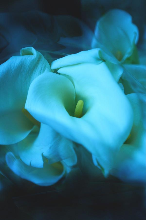 亚洲aⅴ蜜桃永久无码精品-荒岛尤物-又爽又黄又无遮挡的激情视频-Ultra HD无删减90分钟观看