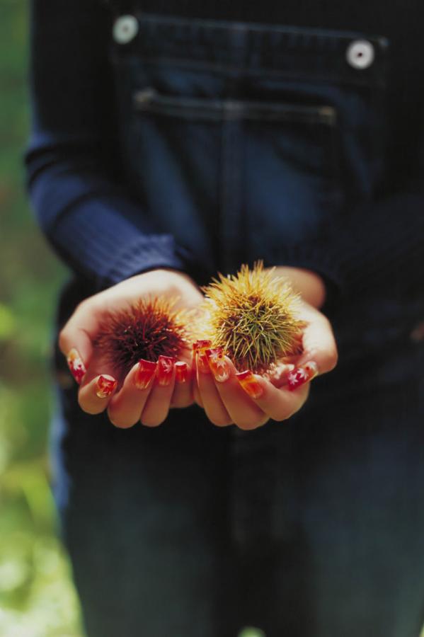 成人片黄网站色大片免费观看-4K动漫在线观看