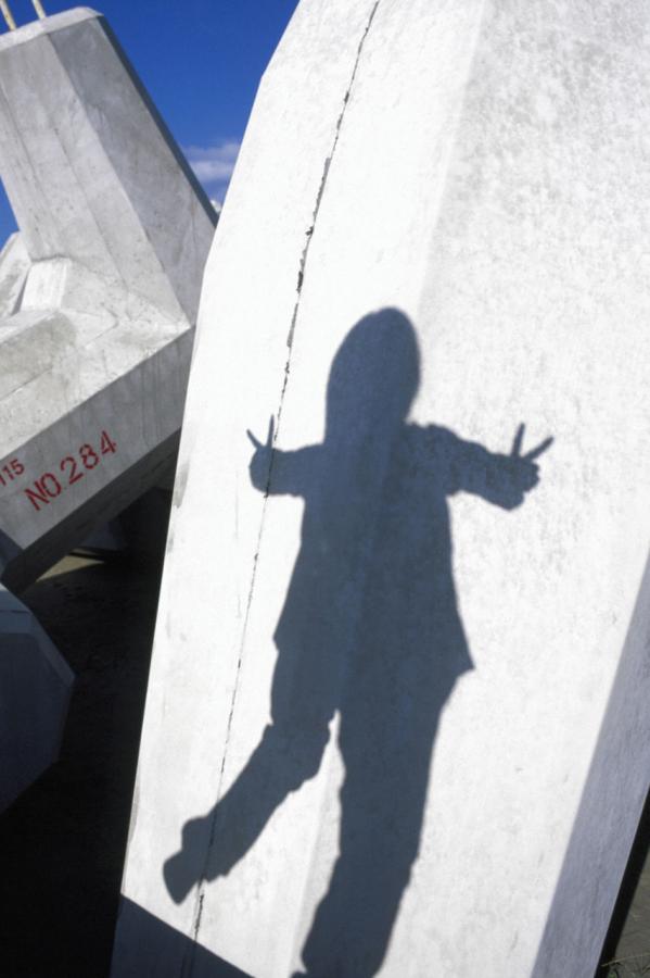 在线免费观看无码毛片-Ultra HD免费观看