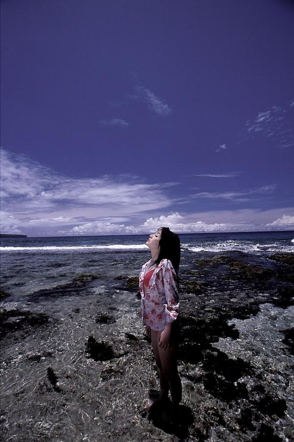 承欢记免费观看全集电视剧高清完整版-Quad HD高清在线观看