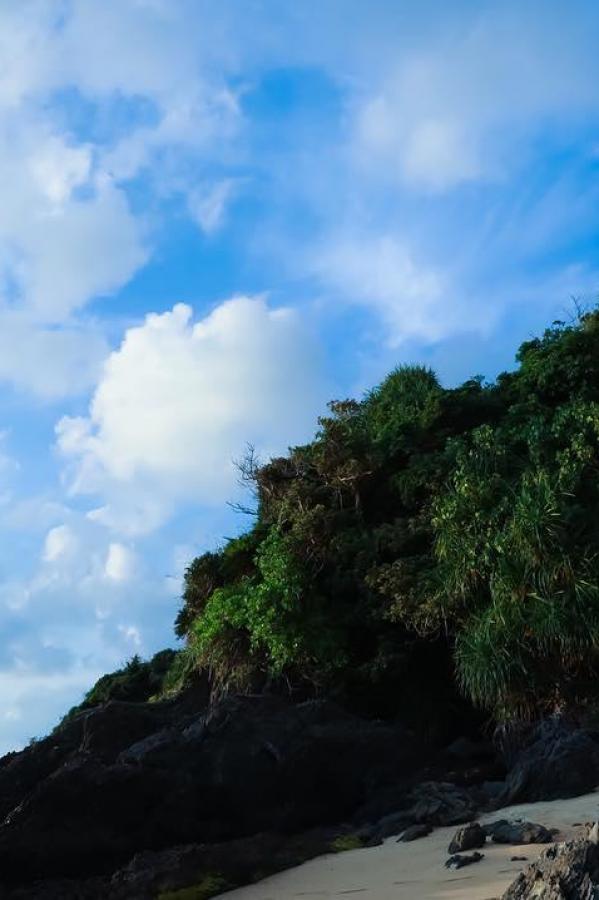 精品国产理论在线观看不卡-99久久久国产精品免费-高清高清在线观看