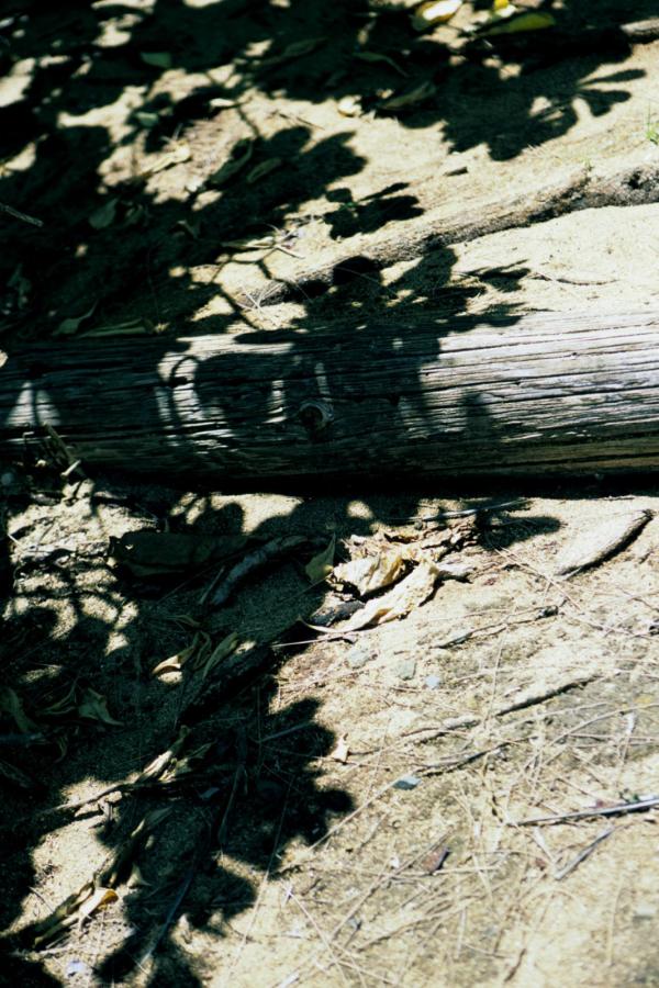 日韩aⅴ一区在线观看-亚洲无码在线观看第一页-亚洲第一天堂国产丝袜熟女-720P高清在线观看